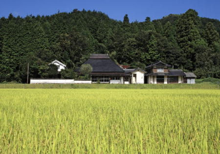 温泉旅館の宿泊時などに課税される入湯税についてご案内します