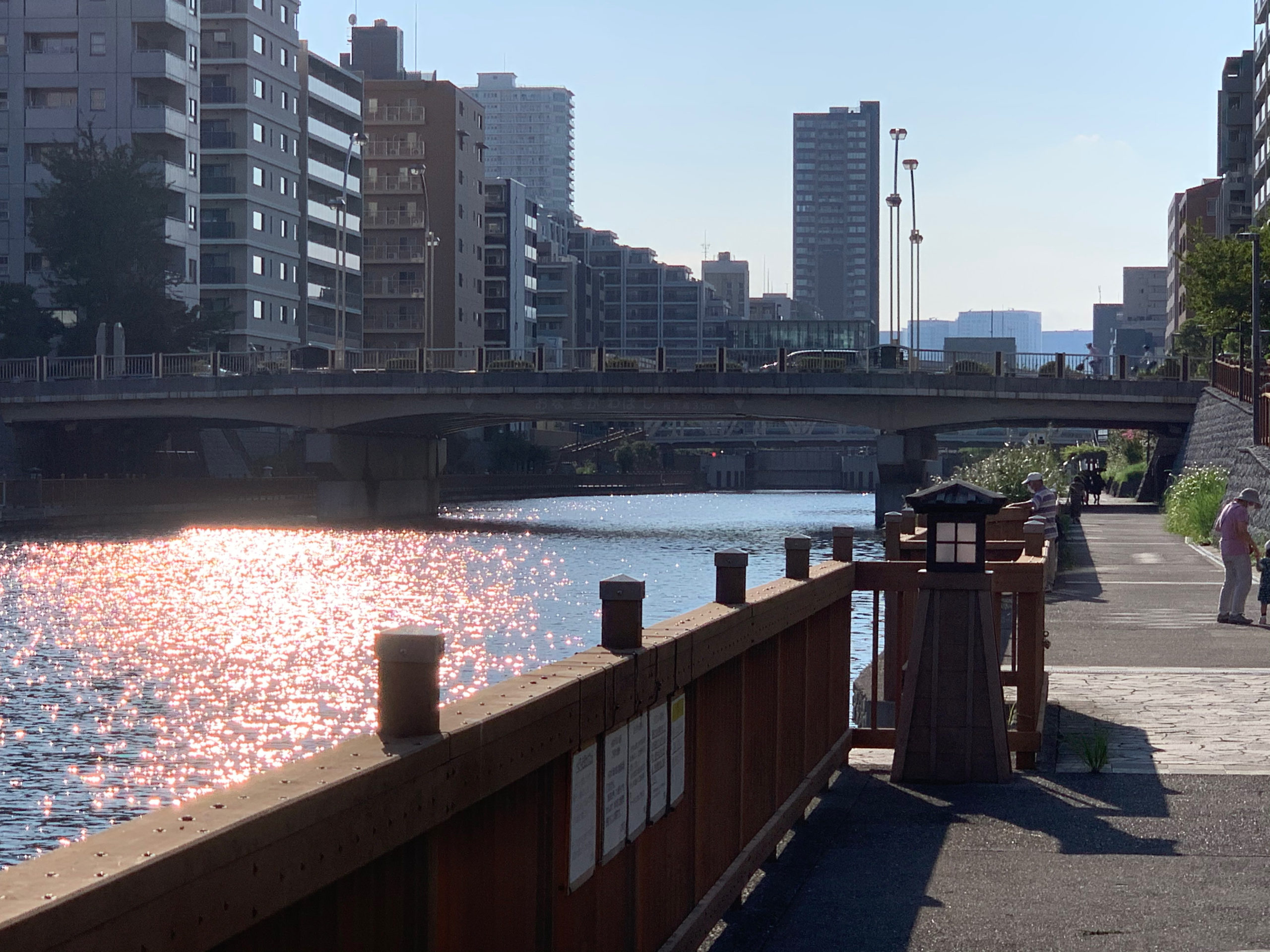 江東区の小名木川クローバー橋周辺は、ランコースとしてだけでなく、ハゼ釣りスポットとしても有名です