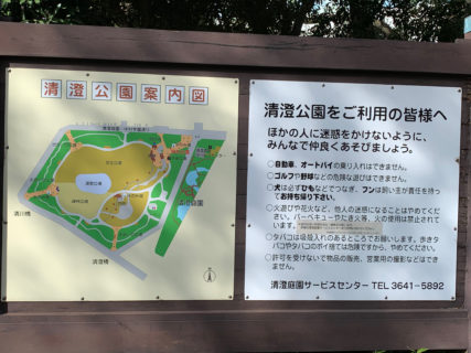 【江東区清澄公園】短時間でも気軽に走れるラン二ングコースです
