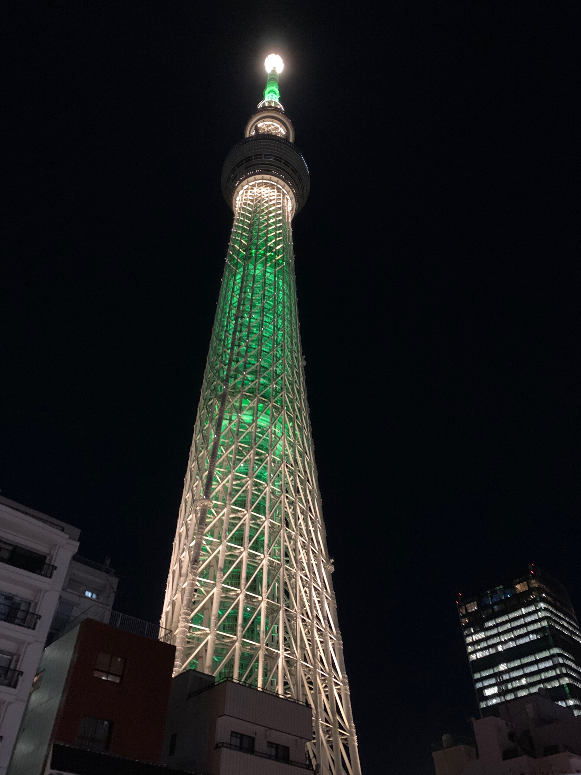 東京の観光公式サイト「GO TOKYO」はエリア毎の観光情報が充実しています
