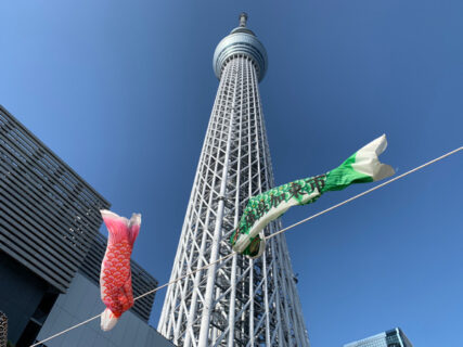 「東京スカイツリータウン(R)こいのぼりフェスティバル2024」は5月6日が最終日です。たくさんの鯉のぼりは見応え十分で、おすすめの撮影スポットですので、是非足を運んでみてはいかがですか。